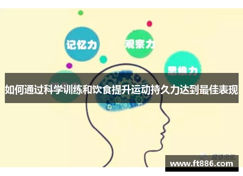 如何通过科学训练和饮食提升运动持久力达到最佳表现