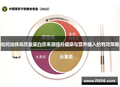 如何选择高质量蛋白质来源提升健康与营养摄入的有效策略